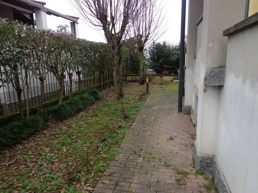 m-197.jpg